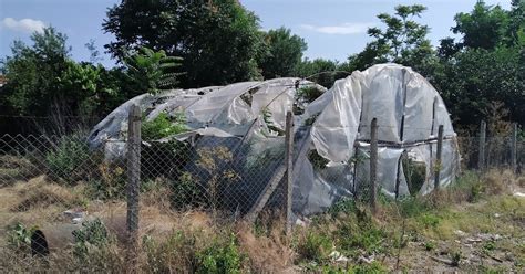 Yambol Daily Picture: Weather Worn Greenhouse in Yambol