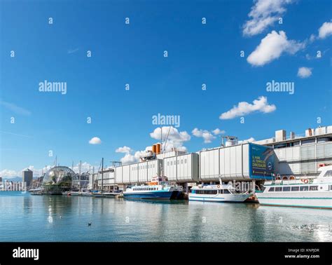 The Aquarium of Genoa, Old Port, Genoa, Liguria, Italy Stock Photo - Alamy