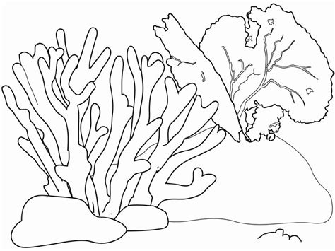 Easy Drawing Of Coral Reef at GetDrawings | Free download