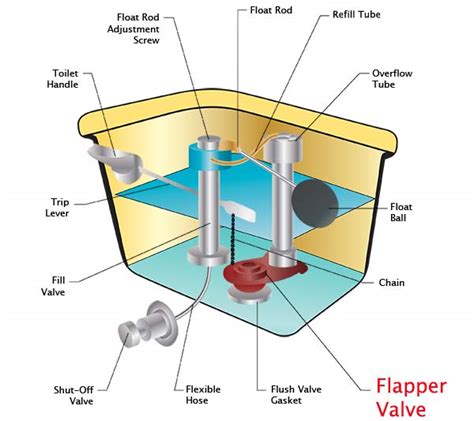 Flapper Valve | Toilet Glossary - Toiletology