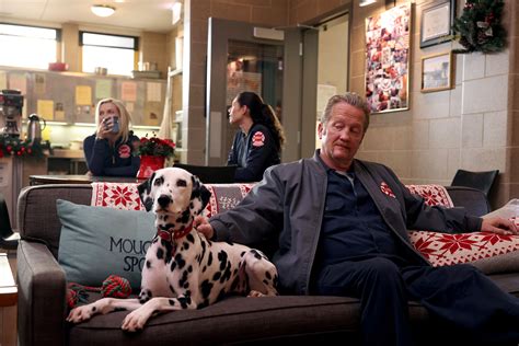 Why Is The Dalmatian Called The Firehouse Dog