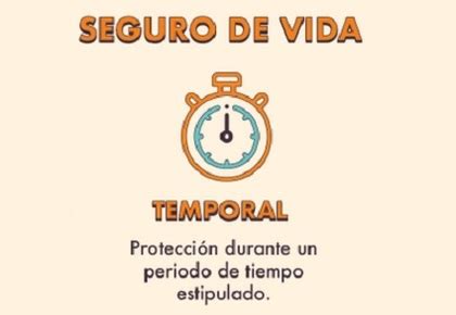 ¿Qué es un seguro de vida temporal? | Rankia