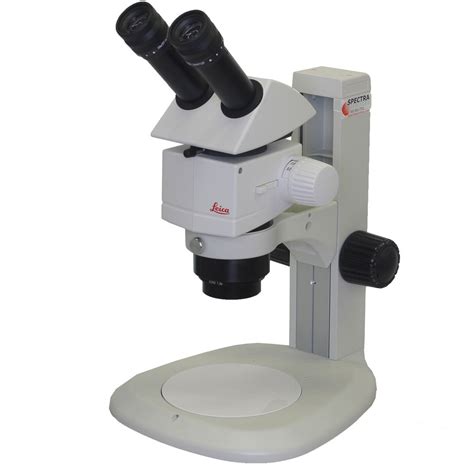 Leica M80 Stereo Microscope on LED Transmitted Light Base with ...