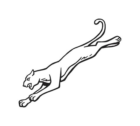 Cat Leaping Drawing by CSA Images - Fine Art America