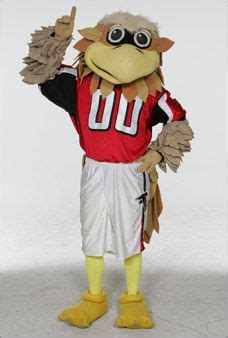 Atlanta Falcons Mascot - Freddie Falcon | Mascot, Atlanta falcons fans, Atlanta falcons