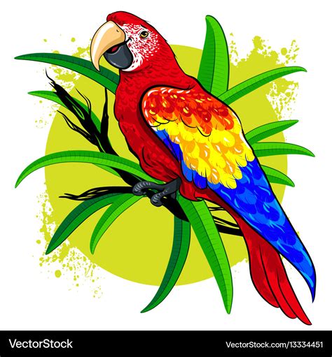 Drawing of a large bright colored parrot on Vector Image