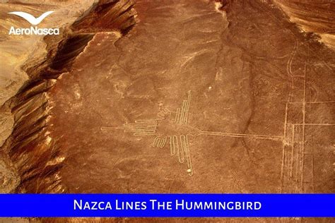 Nazca Lines The Hummingbird 🥇