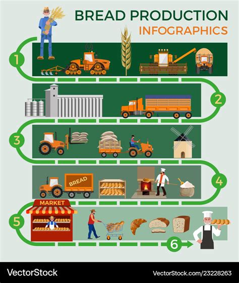 Bread making process Royalty Free Vector Image