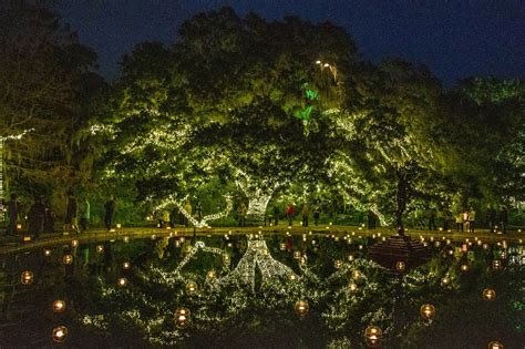 Charleston Daily Photo: Night of a Thousand Candles - Brookgreen Gardens