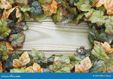 Autumn Leaves and Acorns Border Wood Sign Stock Photo - Image of halloween, copy: 43915400