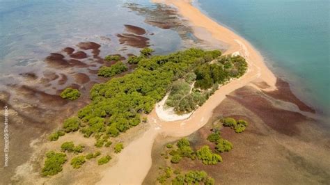 Guided Walk King Island | Wildlife Preservation Society of Queensland