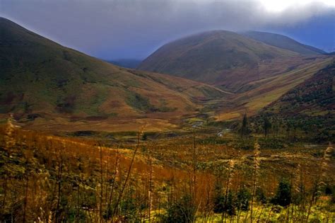 Galloway Forest Park | Places to go, Dumfries, Forest park