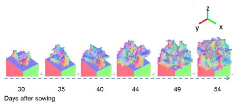 Example of 3D models (Normal Vectors Visualization). Time-course data ...