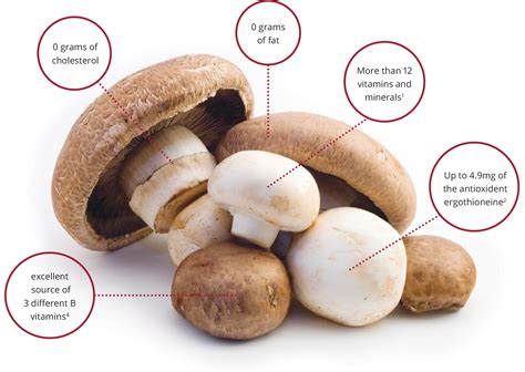 Nutritional Benefits of Mushrooms | Mushroom Council