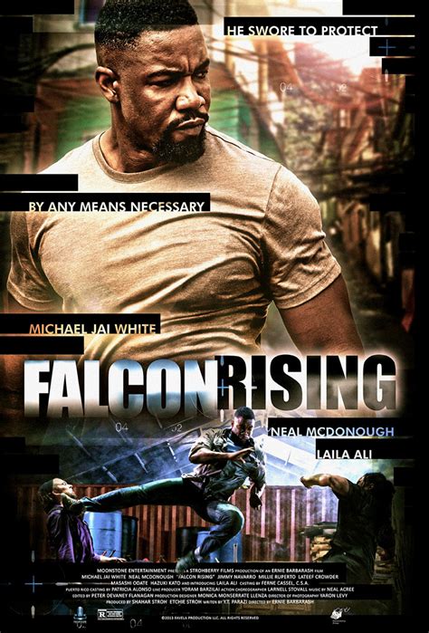 Falcon Rising (2014) Review | cityonfire.com