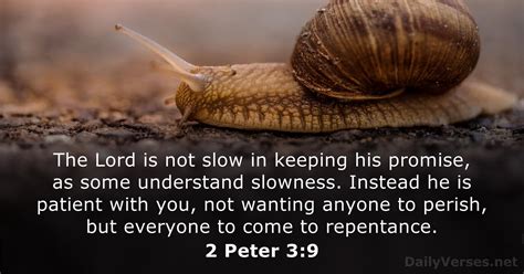 2 Peter 3:9 - Bible verse - DailyVerses.net