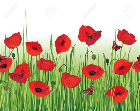 Poppy clipart poppy field, Poppy poppy field Transparent FREE for ...