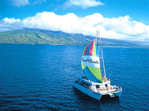 Four Winds II Snorkel at Molokini Reviews - Wailuku, Maui Attractions ...