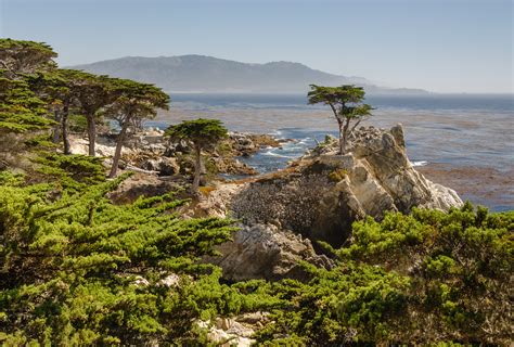 17 Mile Drive, Pebble Beach - CaliforniaBeaches.com