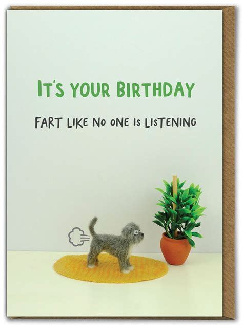 Funny Birthday Card Birthday Fart By Bold and Bright | brainboxcandy.com