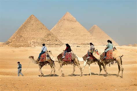 Four People Riding on Camels Across the Pyramids · Free Stock Photo