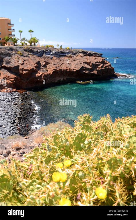 Turquoise bay and volcanic cliffs in Playa Paraiso on Tenerife, Spain Stock Photo - Alamy