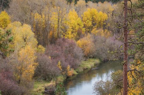 Spokane Parks & Trails | Craig Goodwin Photography