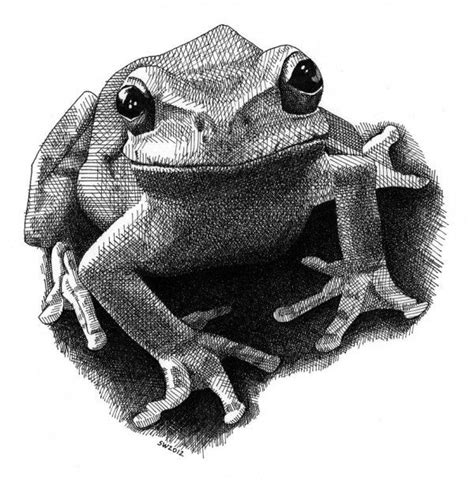 Creative focus, today its frogs. | Dibujos fáciles, Tatuaje animal