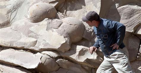 Chechnya claims world’s largest dinosaur eggs - DAWN.COM