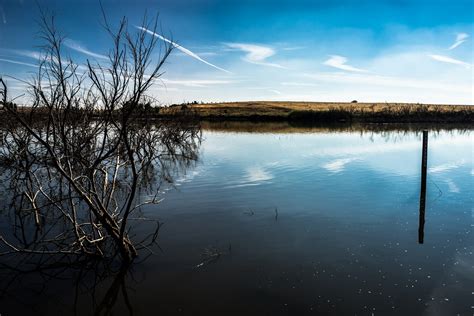 Download free photo of Laguna,lake,fishing,park,nature - from needpix.com