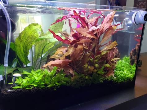 Aquarium Co-Op - Easy Green All in One Fertilizer