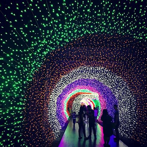 This Week on Instagram: Christmas Lights Around the Metro