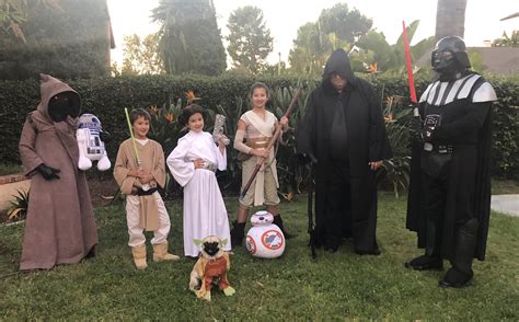 May the 4th be with you! Our family group costumes Halloween 2018 in ...