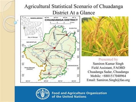 Agricultural Statistical Scenario of Chuadanga District | PPT