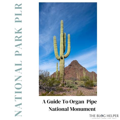 Guide To Organ Pipe National Monument - The Blog Helper