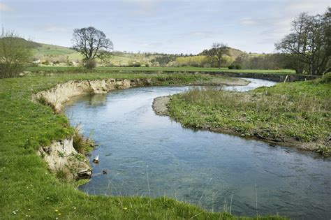 Water level rises in some rivers of country