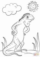 Cartoon Iguana coloring Page  Free Printable Coloring Pages sketch template