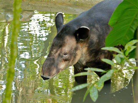 Estuary Nature Trail and Zoological Center