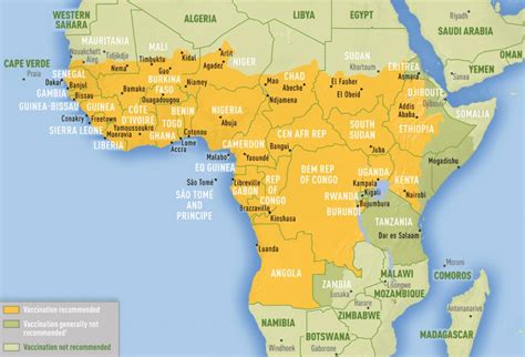 What could have turned yellow fever outbreak into a global disaster?