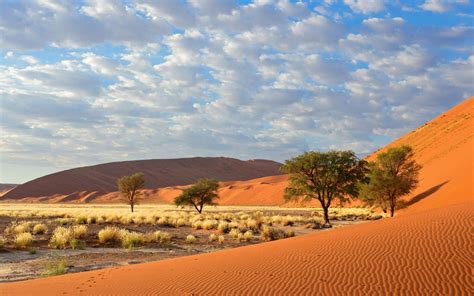 Namib-Naukluft National Park Wallpapers - Wallpaper Cave