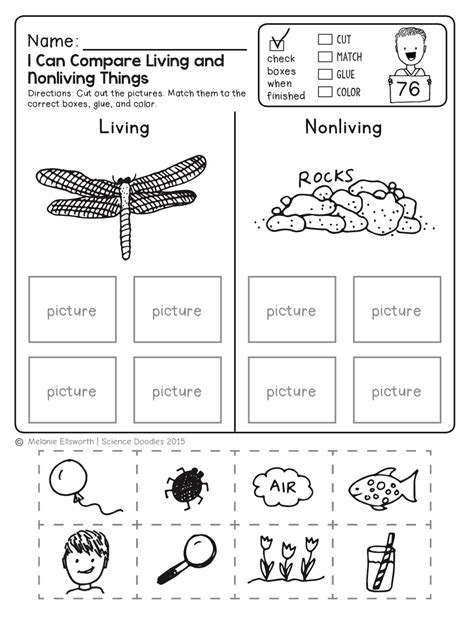 FREEBIE! NO-PREP Kindergarten Science Doodle Printables | Free science worksheets, Kindergarten ...