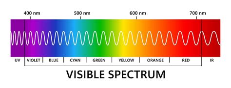 Visible light spectrum, infared and ultraviolet. Light wavelength. Electromagnetic visible color ...