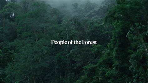 People Of The Forest - YouTube