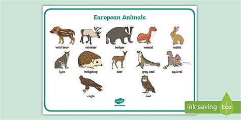 European Animals Word Mat (teacher made) - Twinkl