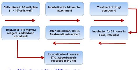 Mtt Assay Flow Chart