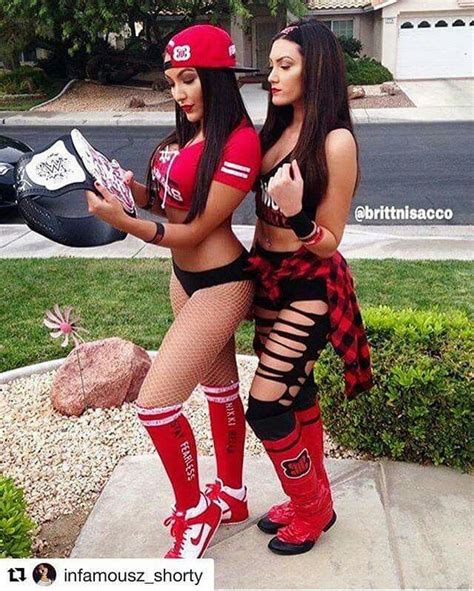 Wwe Nikki & Brie Bella | Nikki and brie bella, Nikki bella photos, Wwe ...