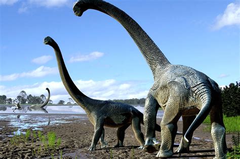 New dinosaur species Savannasaurus discovered in Australia