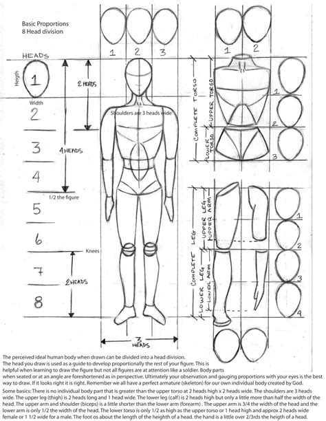 Human Body Proportions Drawing Pdf ~ The Upper Body | Bocatewasuer