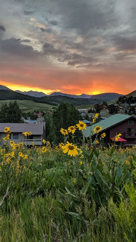 Best Crested Butte Hiking Trails in Colorado Rockies