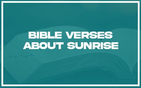 31 Bible Verses About Sunrise (with Related Verses) - Christianity Path